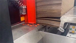 Flexo Printing Machine